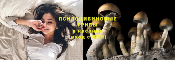 МДПВ Елизово