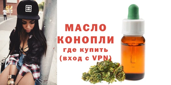 сатива Ельня