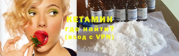 гидра Елабуга
