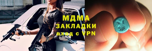 сатива Ельня