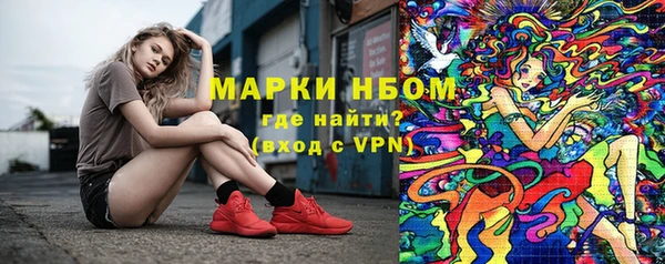 МДПВ Елизово