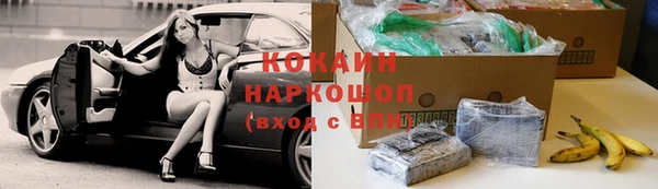 гидра Елабуга