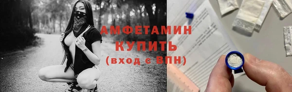 гидра Елабуга