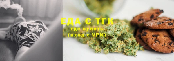 гидра Елабуга