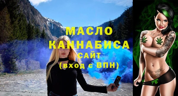 сатива Ельня