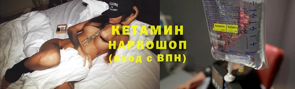 гидра Елабуга