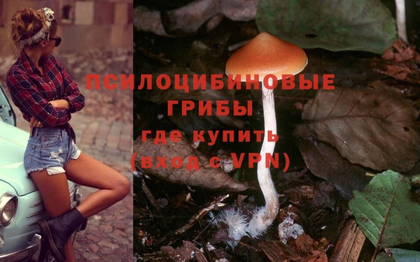 гидра Елабуга