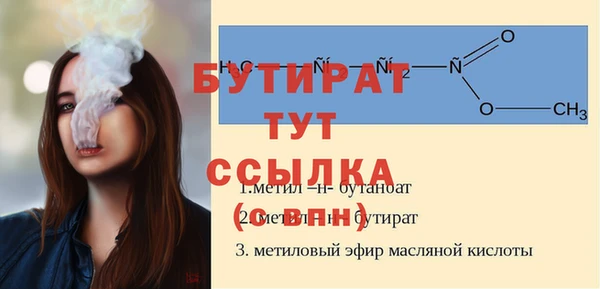 гидра Елабуга
