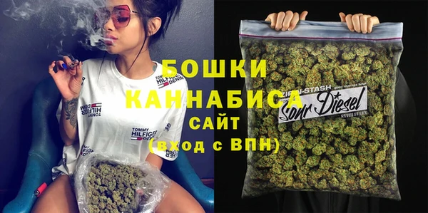 сатива Ельня