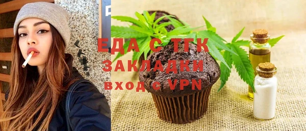 сатива Ельня