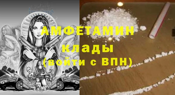 гидра Елабуга