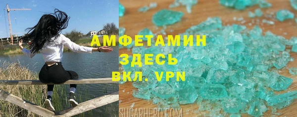 сатива Ельня