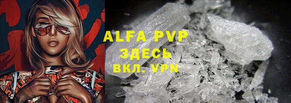 гидра Елабуга