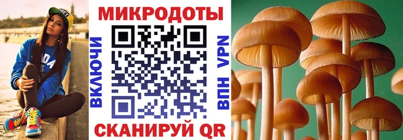 купить   Зарайск  Псилоцибиновые грибы Magic Shrooms 
