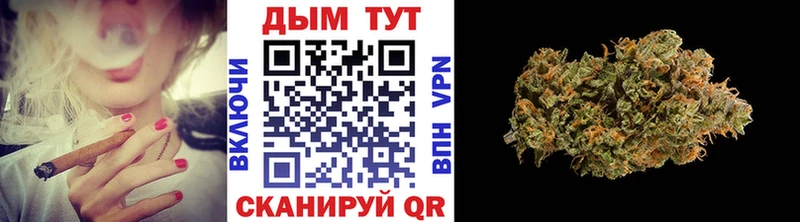 гидра онион  где купить наркоту  Зарайск  Конопля Amnesia 